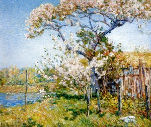 Frederick Childe Hassam - Apple Trees in Bloom, Old Lyme