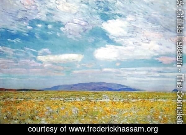 Frederick Childe Hassam - Alkali, Rabbit Brush and Grease Wood Squaw Cap, Oregon Trail