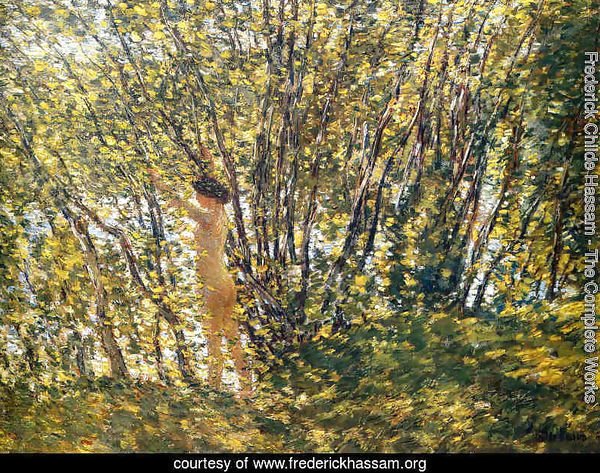 Nude in Sunlilt Wood