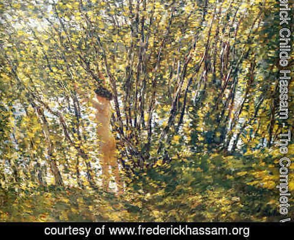 Frederick Childe Hassam - Nude in Sunlilt Wood