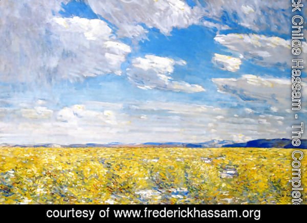 Frederick Childe Hassam - Afternoon Sky, Harney Desert