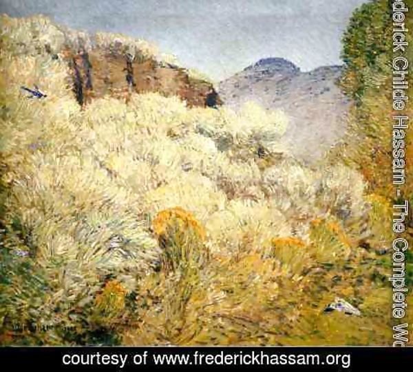 Frederick Childe Hassam - Harney Desert I